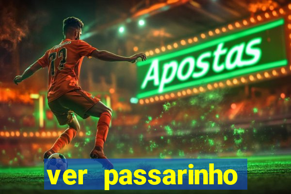 ver passarinho morto significado espiritual